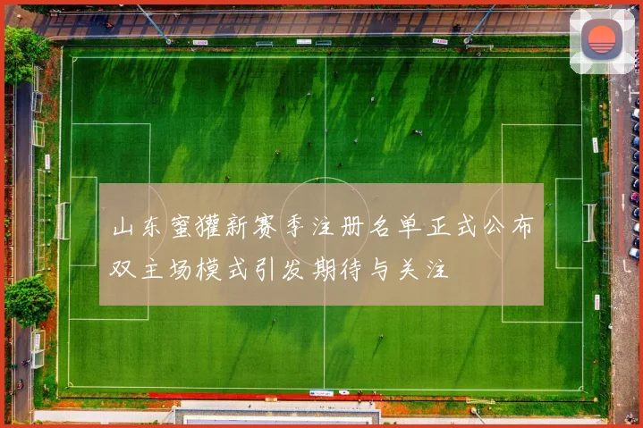 山东蜜獾新赛季注册名单正式公布双主场模式引发期待与关注